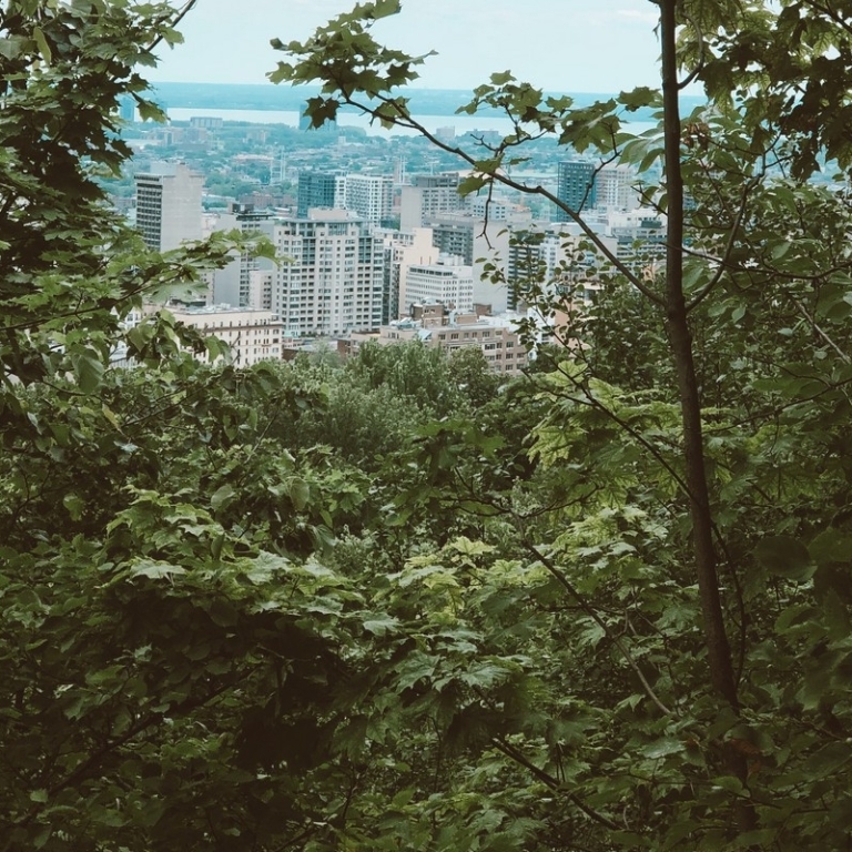 Journée de réflexion sur les espaces naturels urbains – Aperçu et vidéos