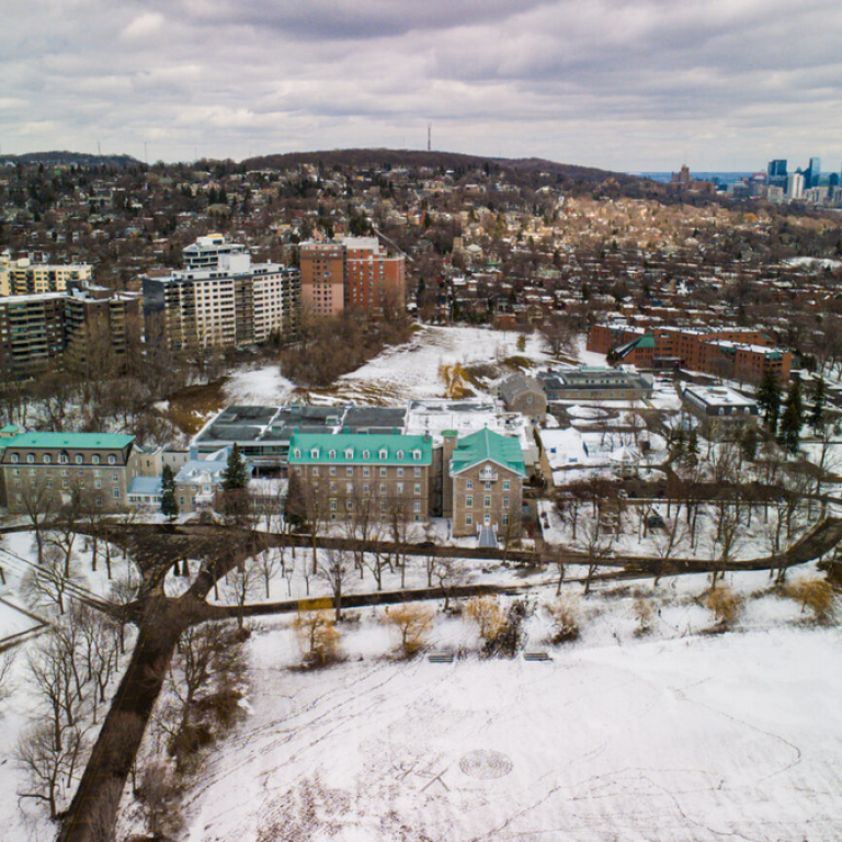 H&eacute;ritage Montr&eacute;al &ndash; Cinq enjeux &agrave; suivre et &agrave; d&eacute;mystifier