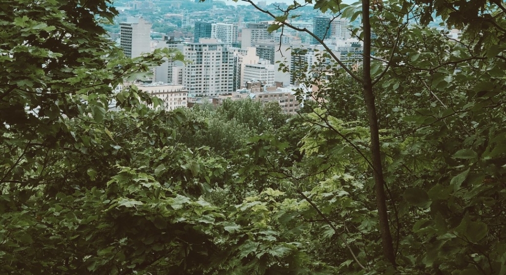 Journée de réflexion sur les espaces naturels urbains – Aperçu et vidéos