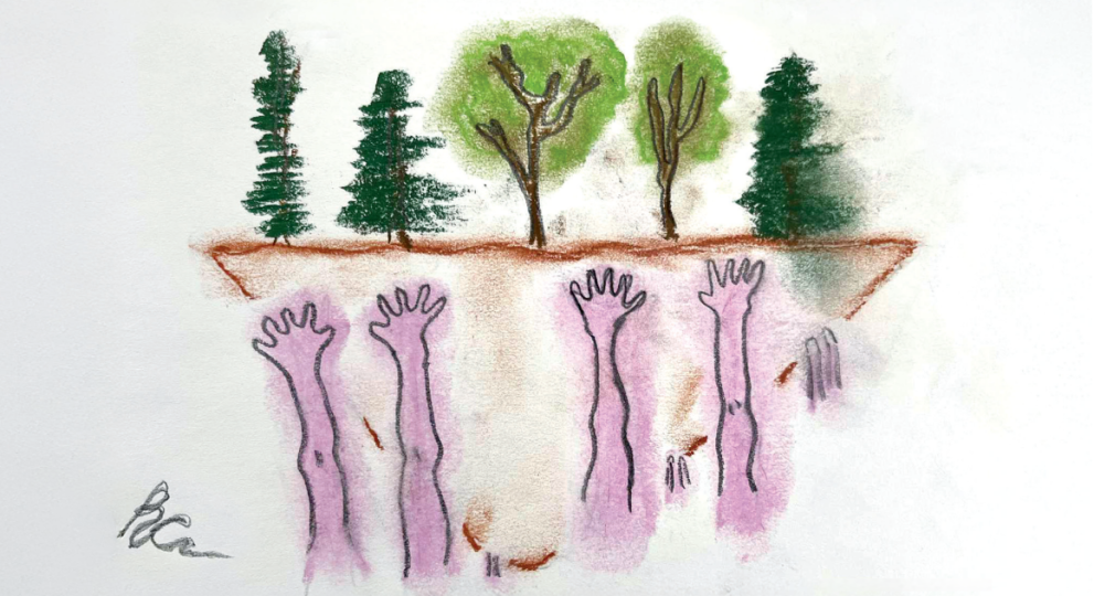 Fiducie Emprises &ndash; Un exemple pour le reboisement urbain